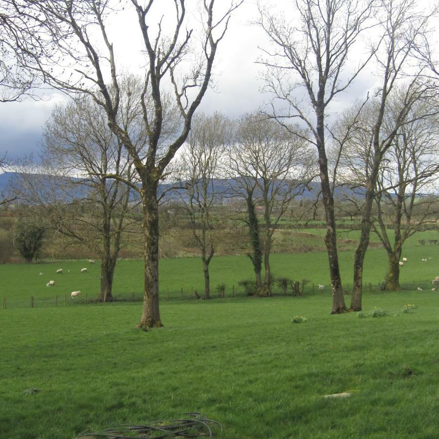Knockninny Barn At Upper Lough Erne, County Fermanagh Enniskillen Eksteriør bilde